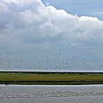 Hinter der Schleuse in Friedrichskoog