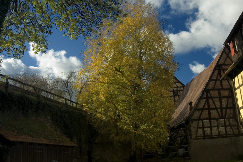 ... hinter der Stadtmauer ...