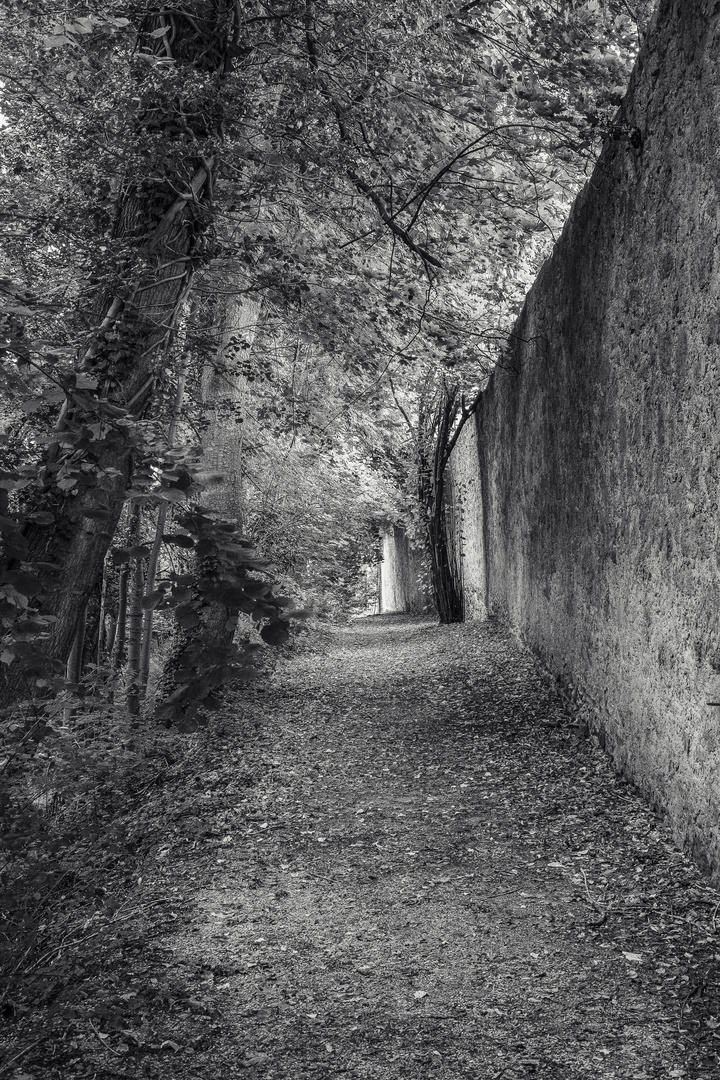 Hinter der Stadtmauer