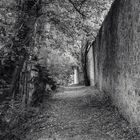 Hinter der Stadtmauer