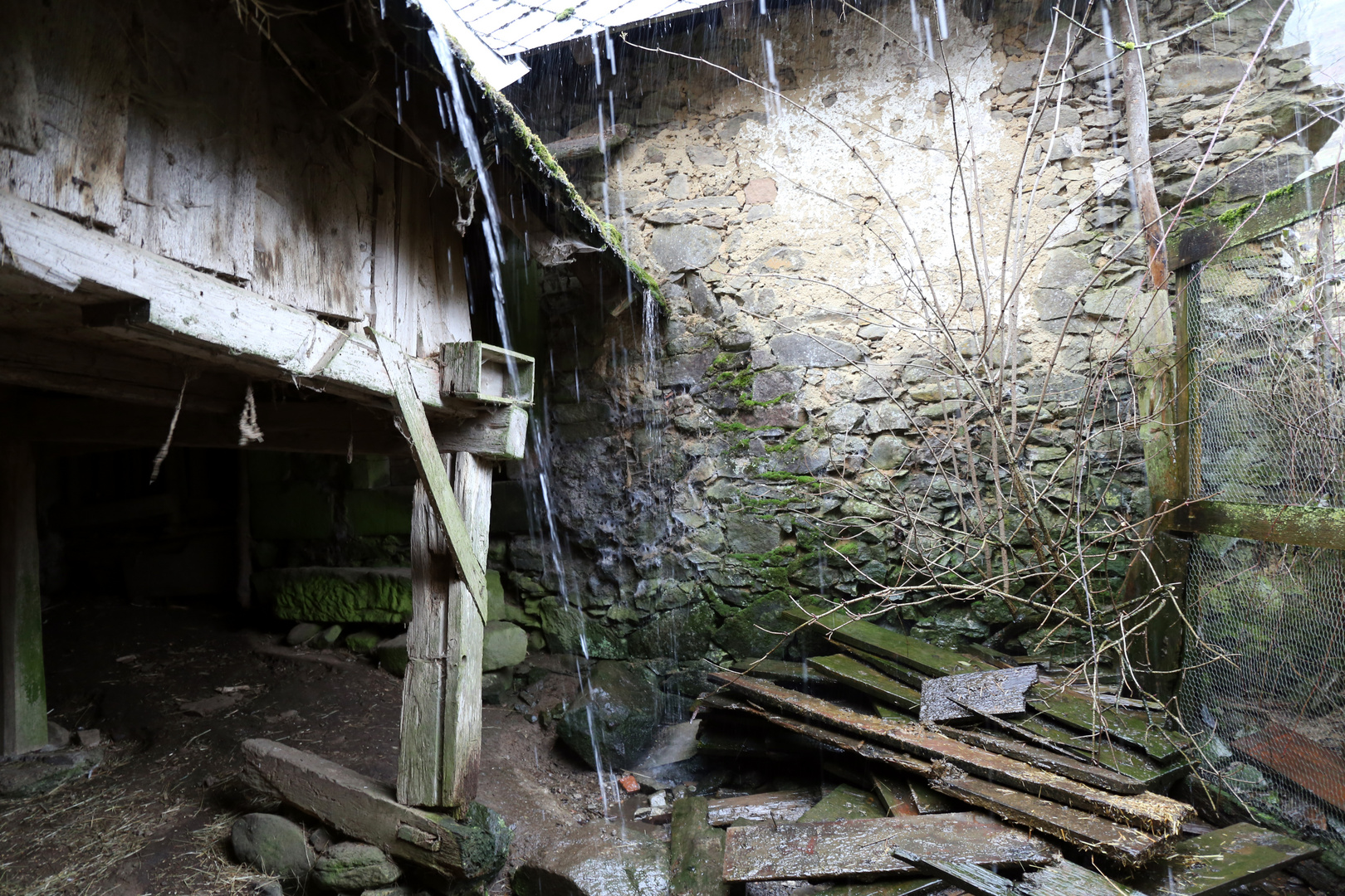 Hinter die Biebele und Schweinen im Bauernhof