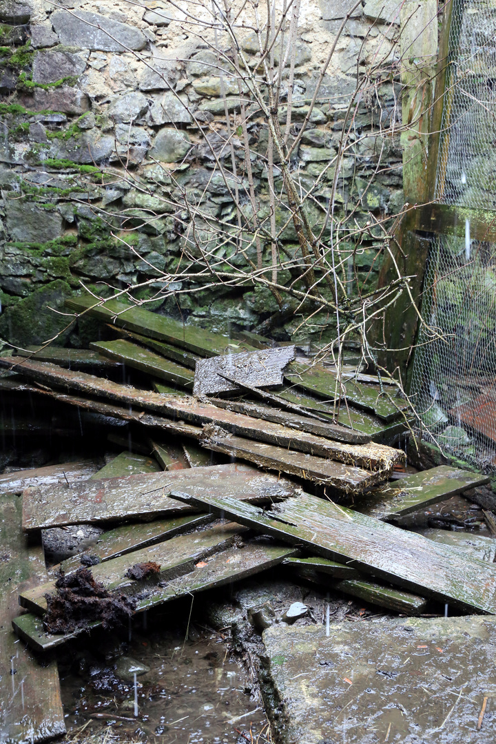 Hinter die Biebele und Schweinen im Bauernhof