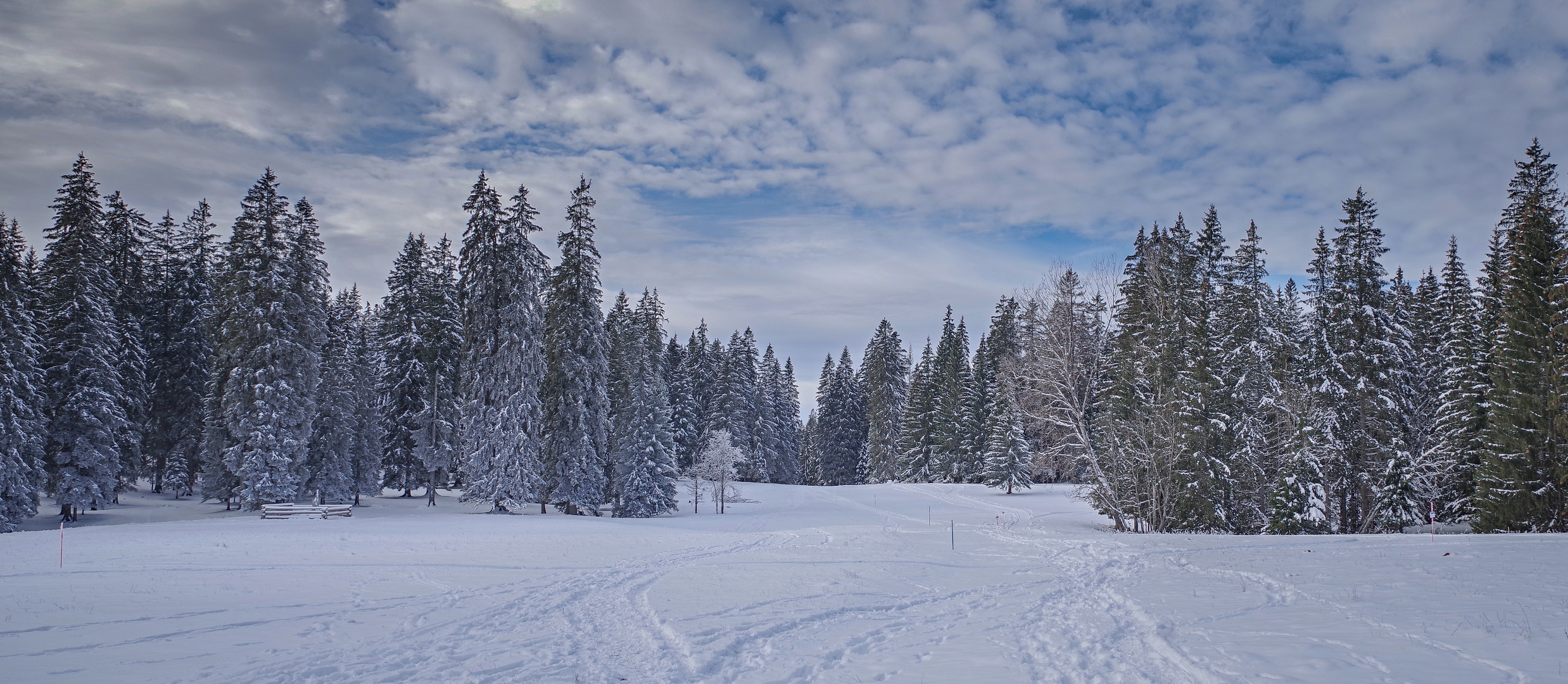 Hinter diesem Wald befindet sich der nächste Wald