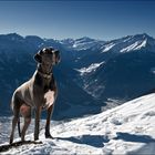 Hinter dir gehts abwärts - und vor dir steil bergauf