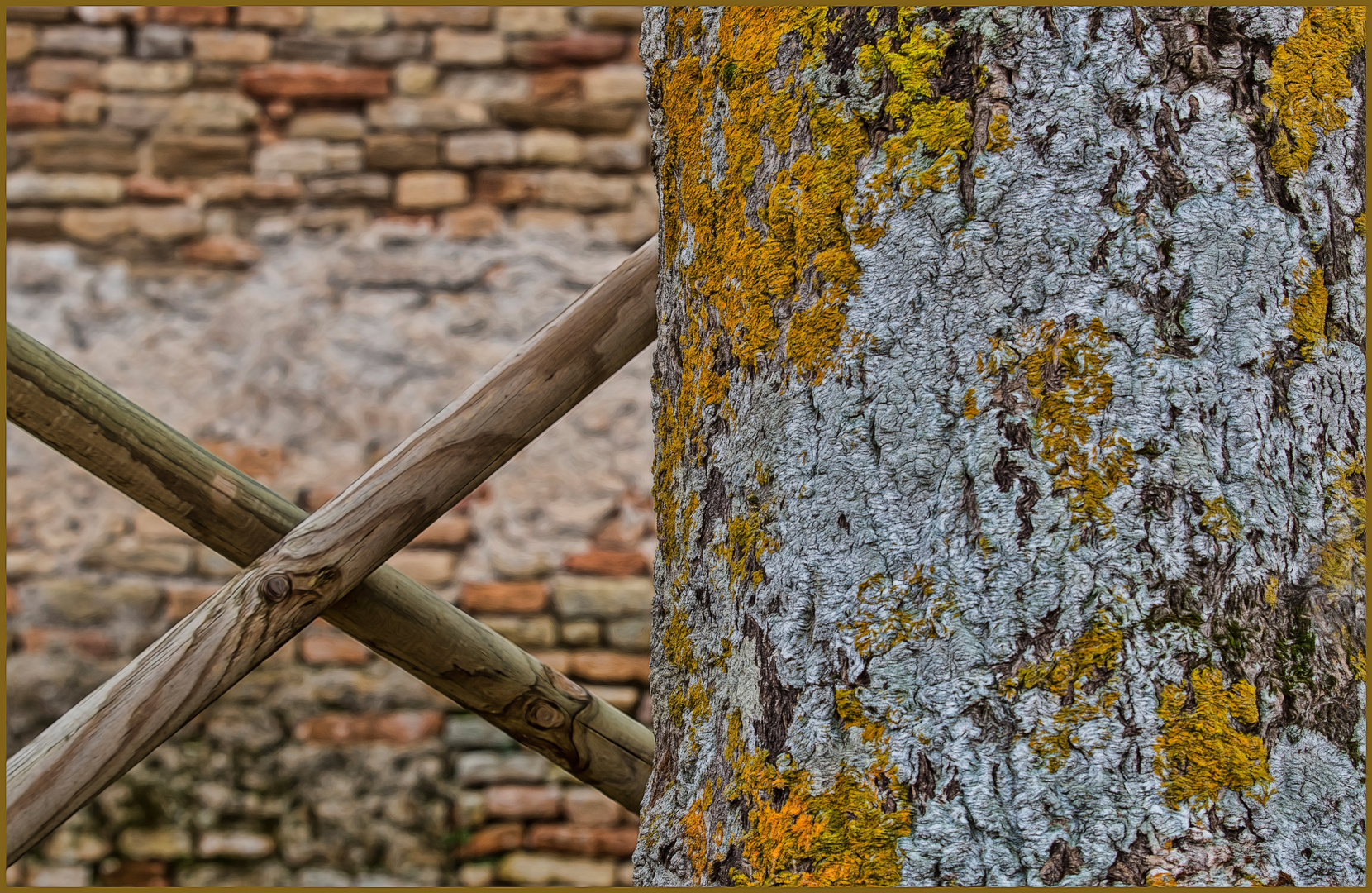 hinter eines Baumes Rinde...