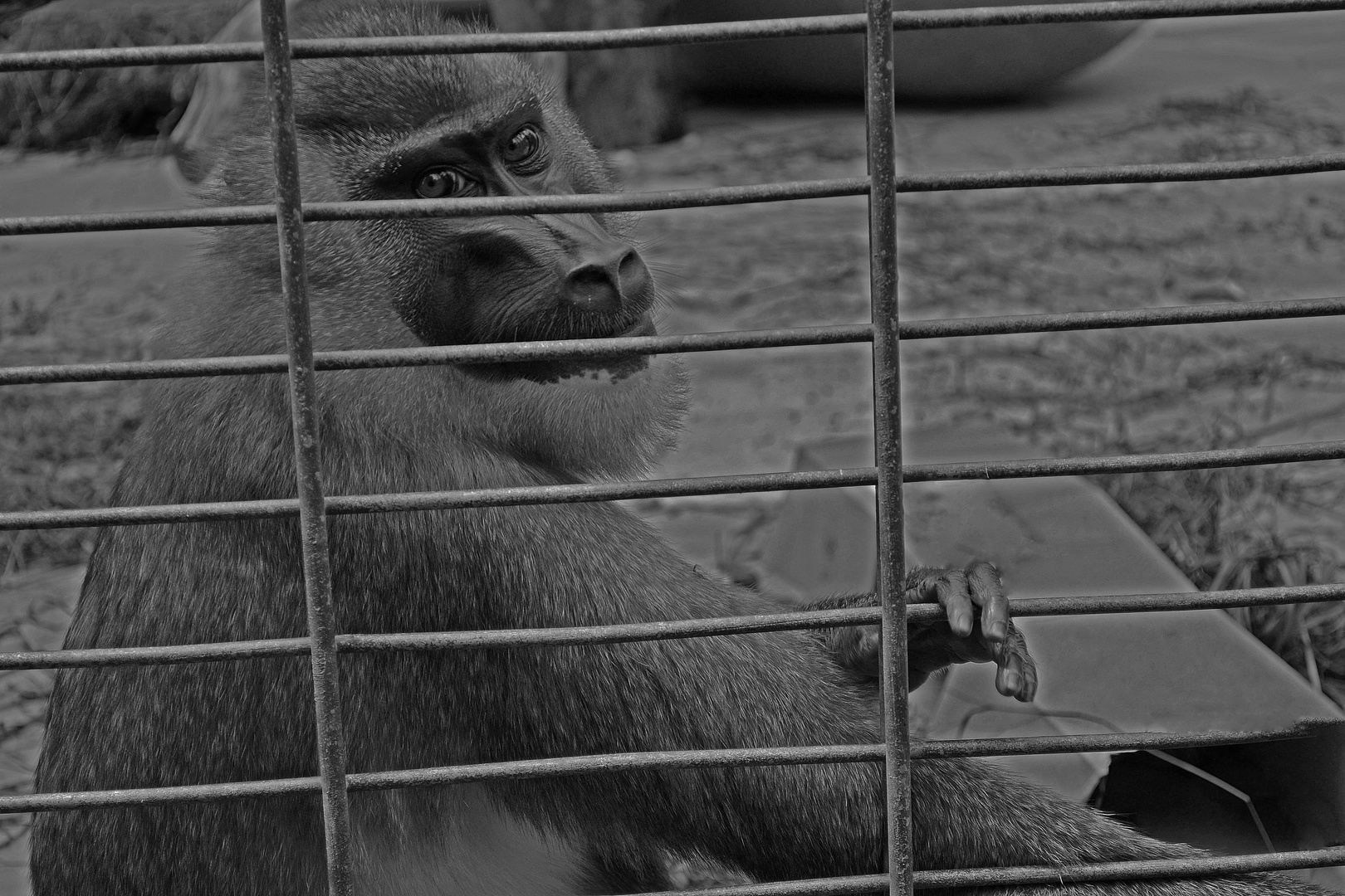 Hinter Gittern