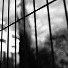 Hinter Gittern