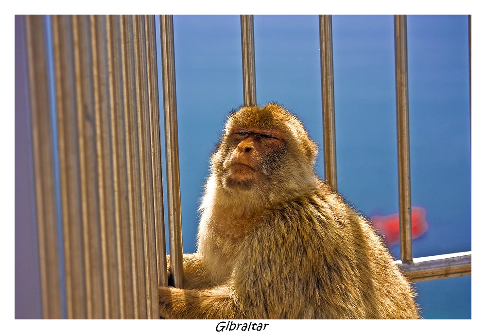 Hinter Gittern