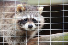 Hinter Gittern