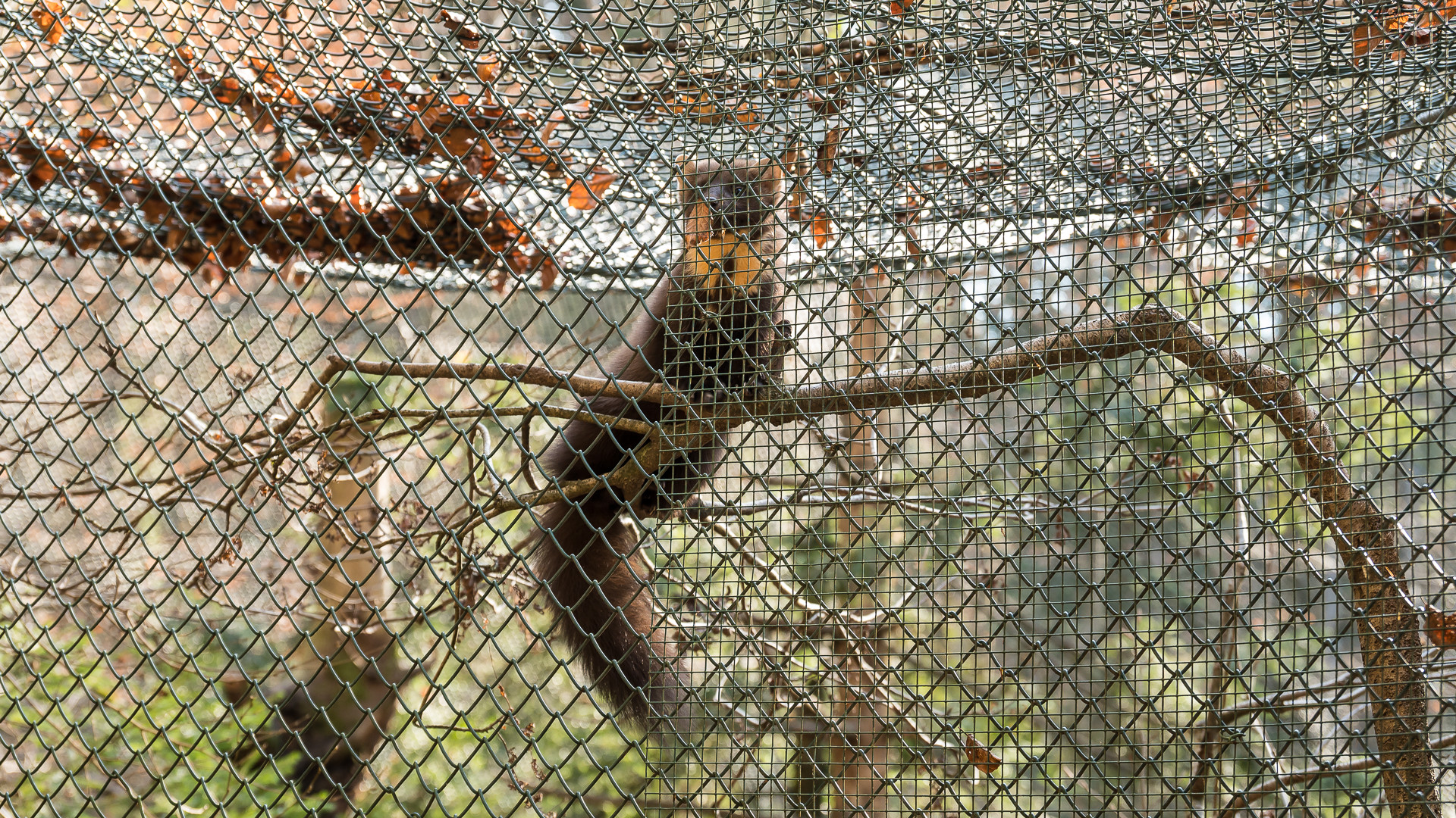 hinter Gittern