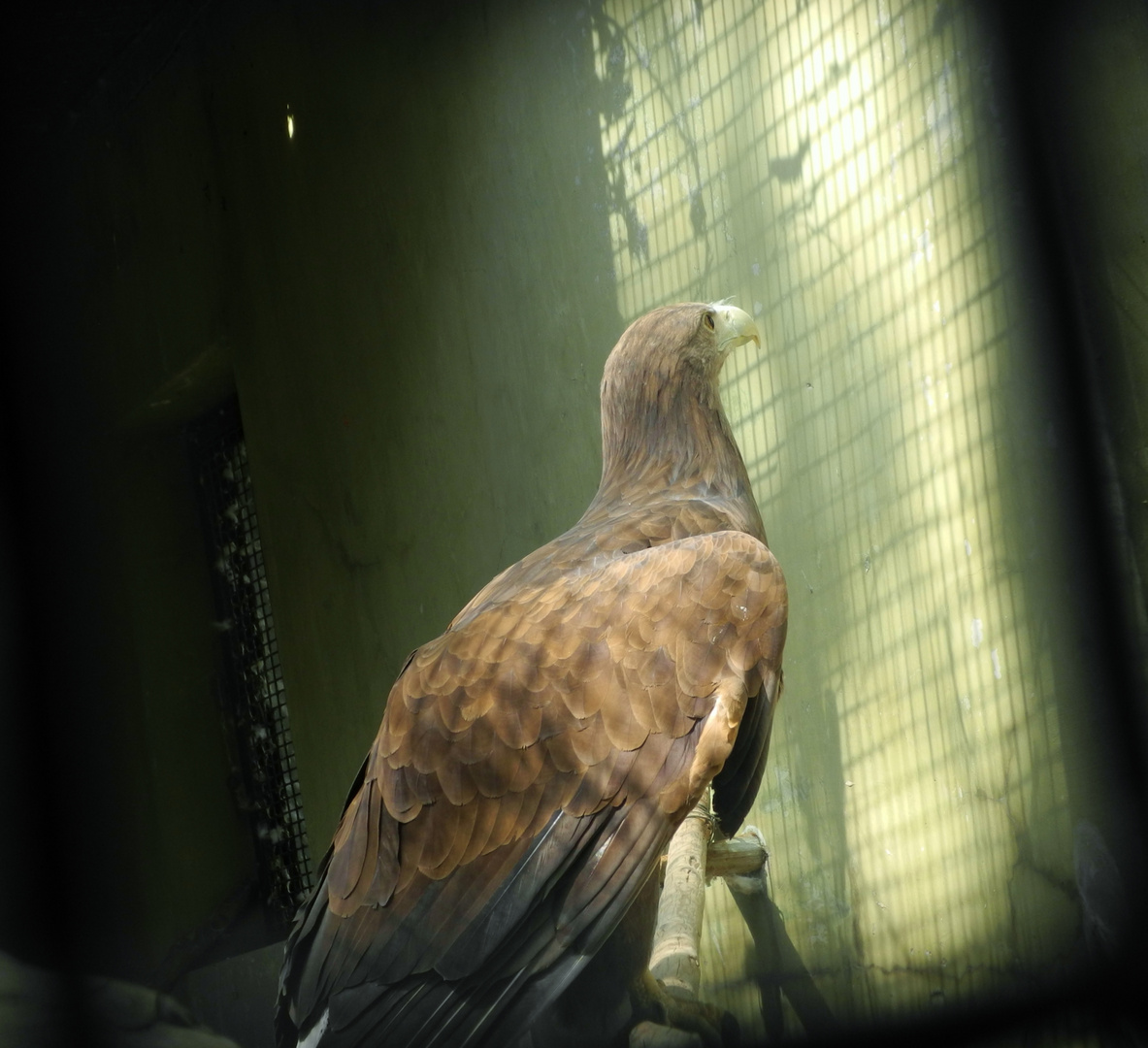 Hinter Gittern