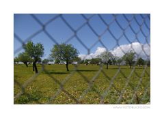 Hinter Gittern