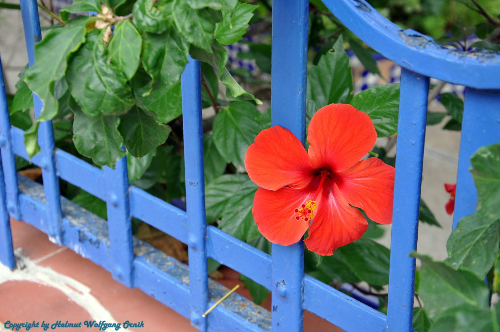 Hinter Gittern