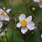 Hinter Gittern