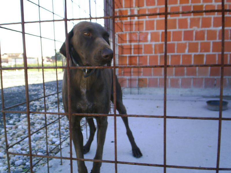 Hinter Gittern