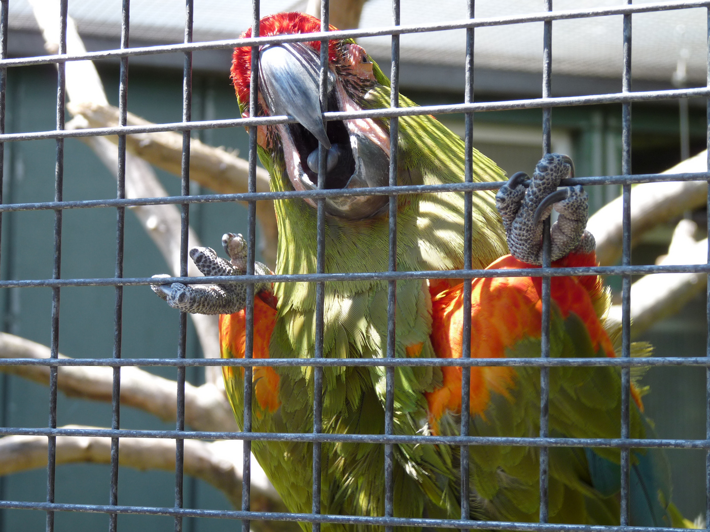 Hinter Gittern