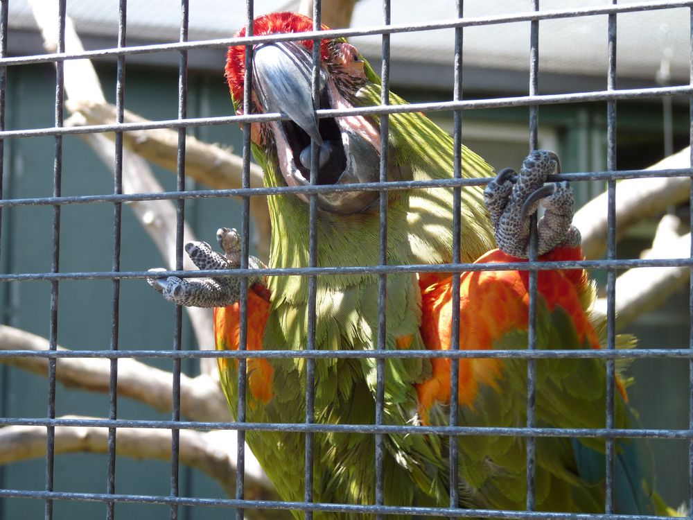 Hinter Gittern