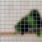 Hinter Gittern 