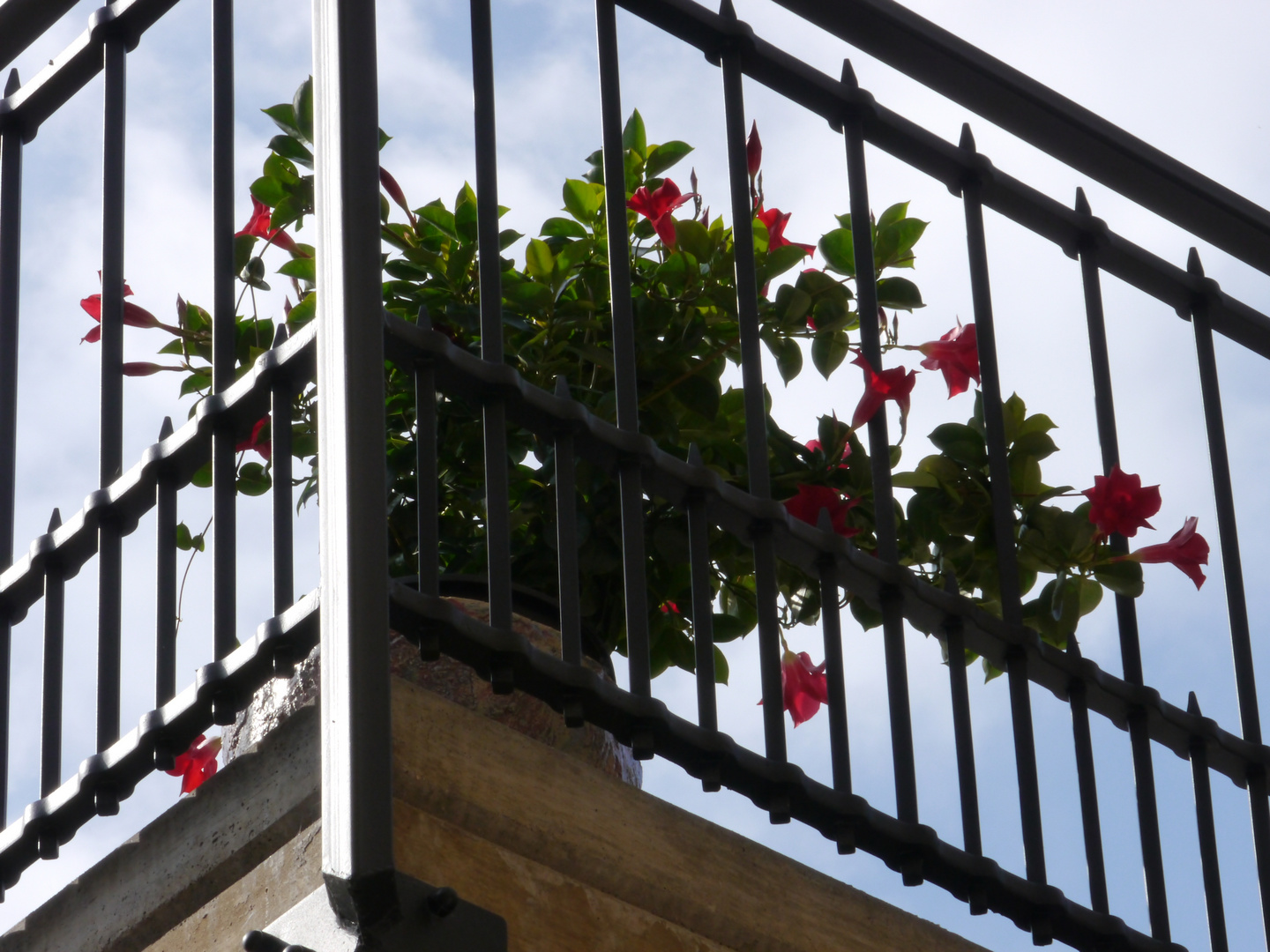 hinter Gittern ...