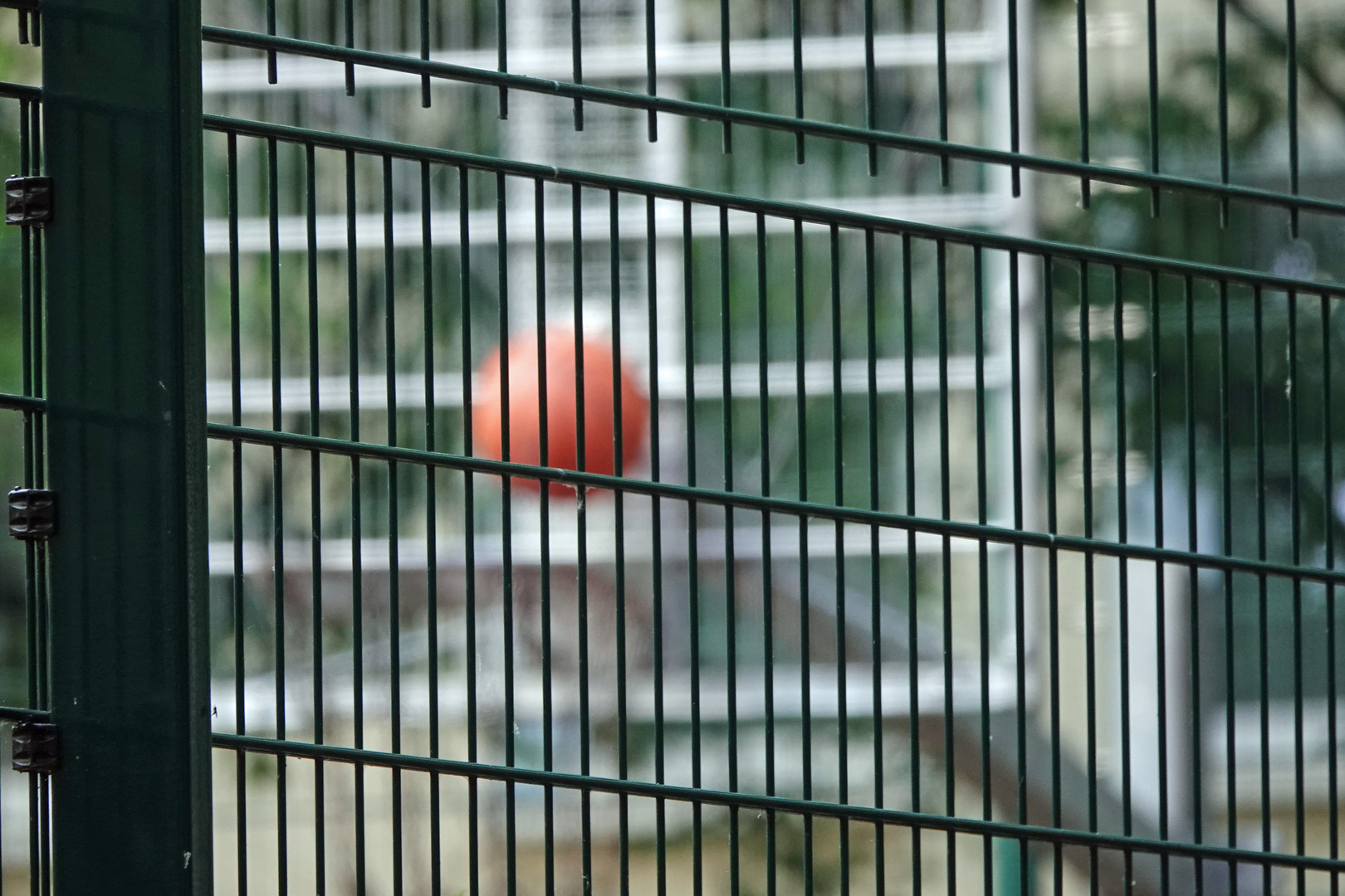 Hinter Gittern