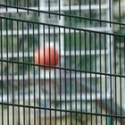 Hinter Gittern