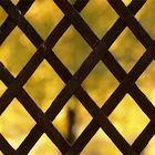 Hinter Gittern