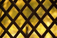 Hinter Gittern