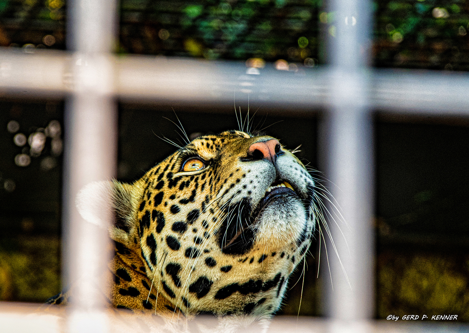 Hinter Gittern