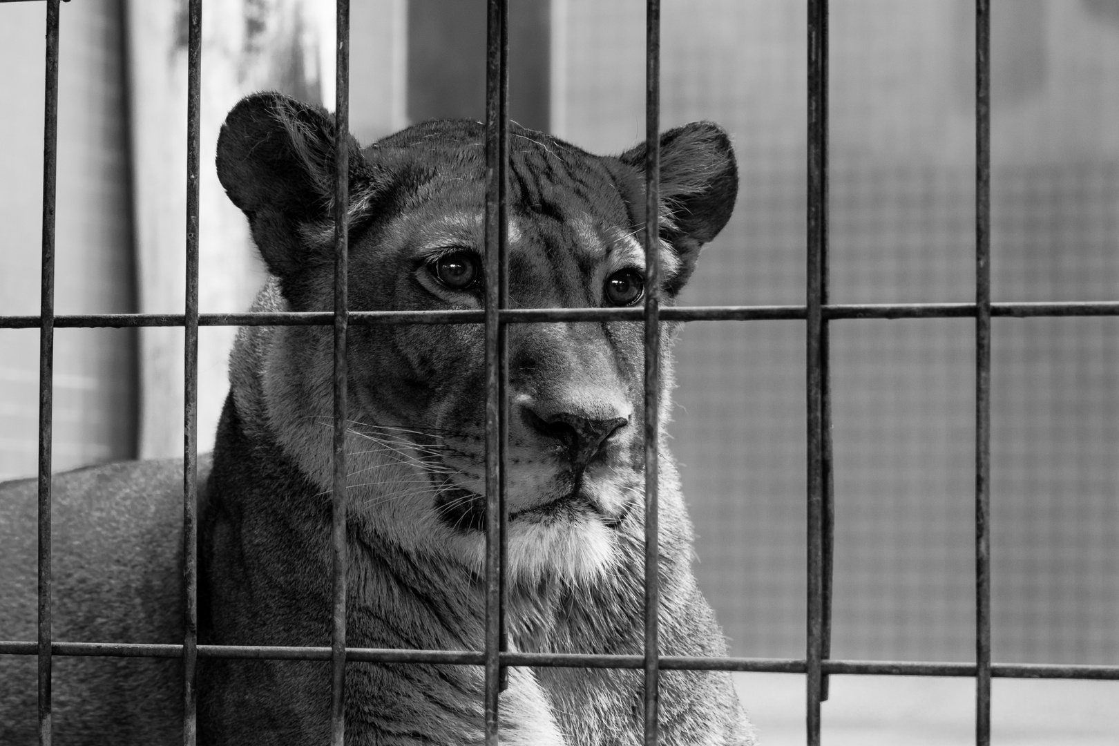 Hinter Gittern