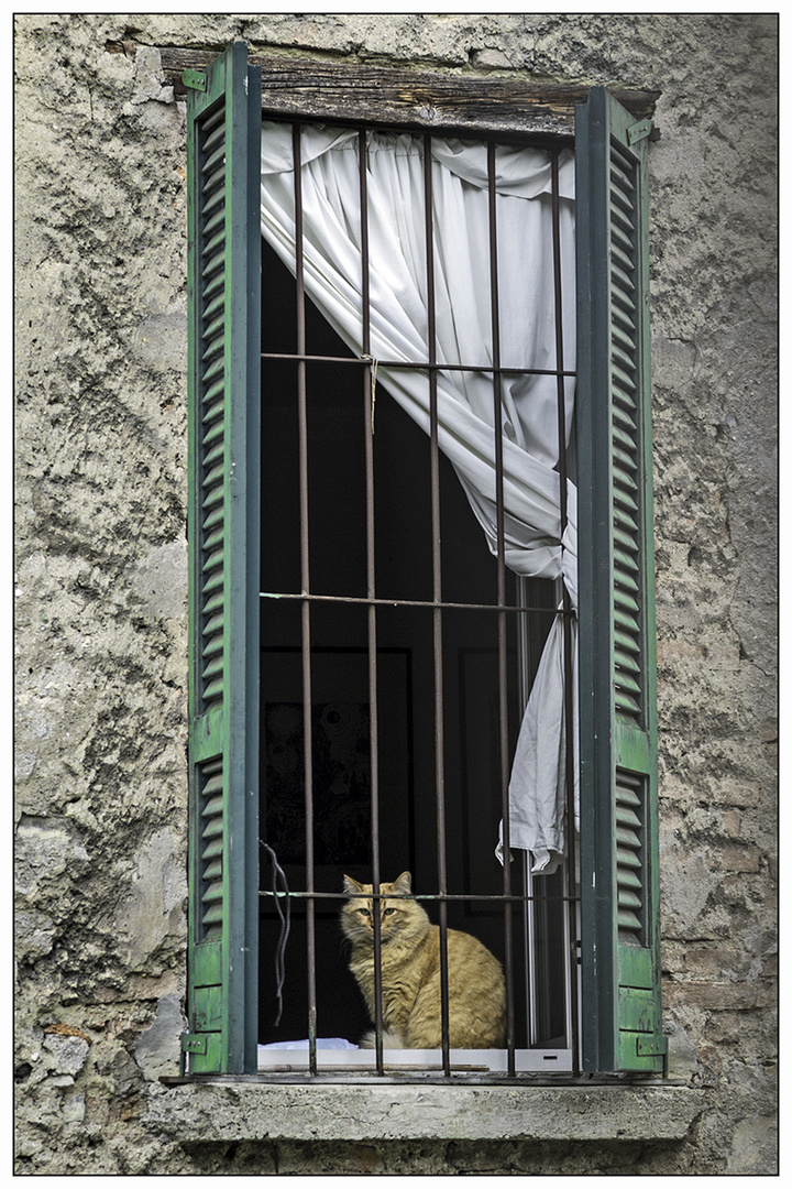 Hinter Gittern