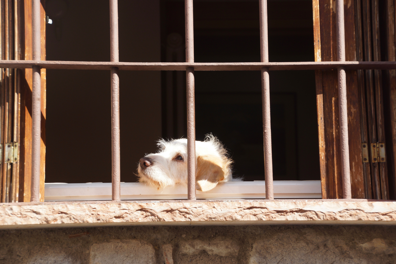 Hinter Gittern