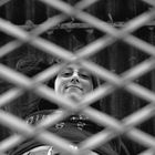 Hinter Gittern