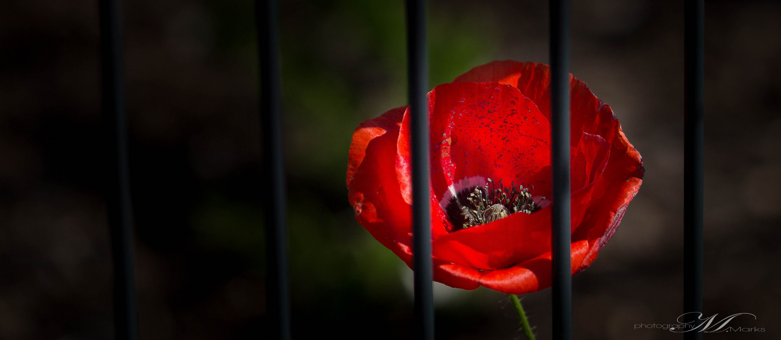 Hinter Gittern