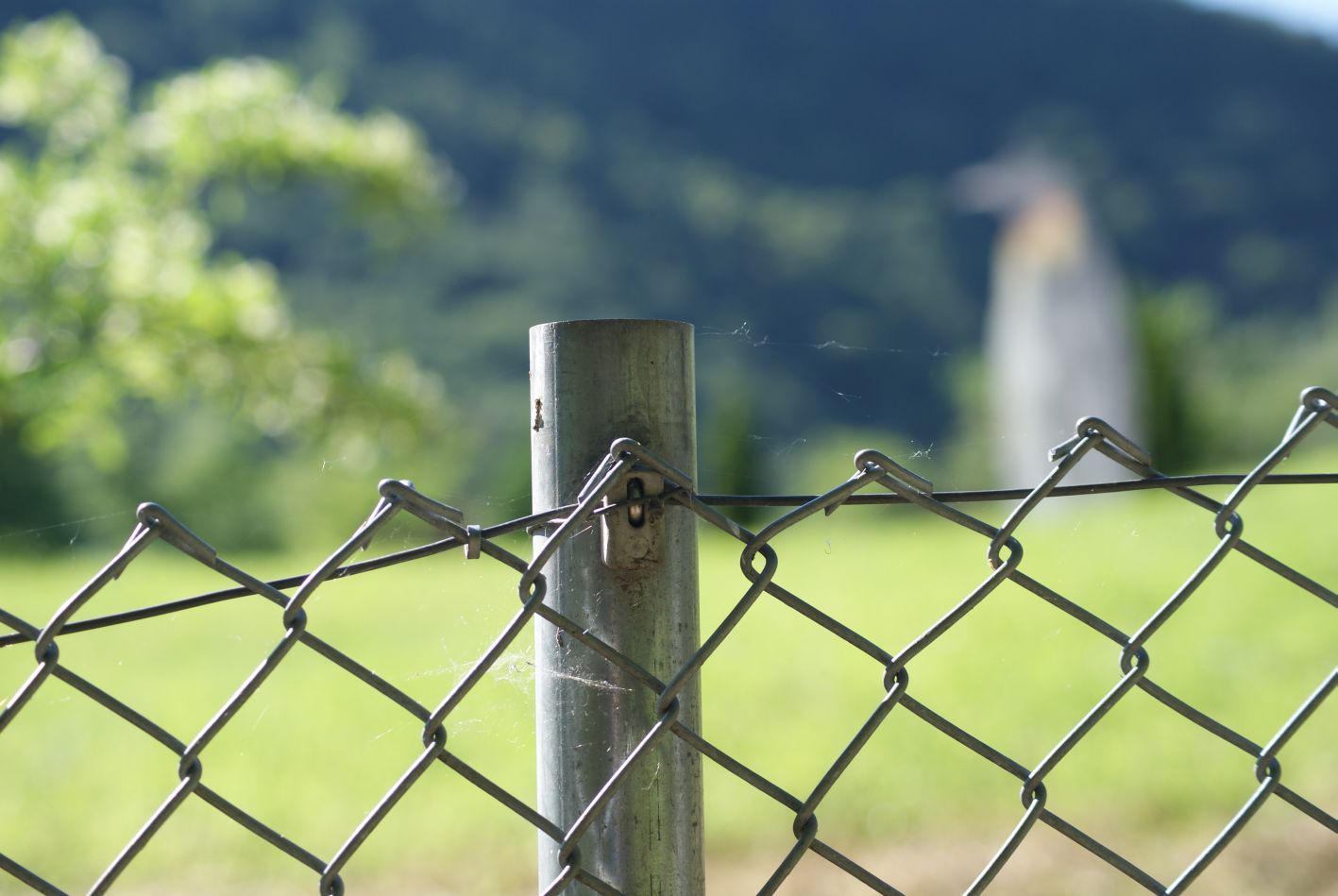 Hinter Gittern