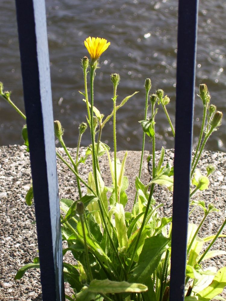 Hinter Gittern...