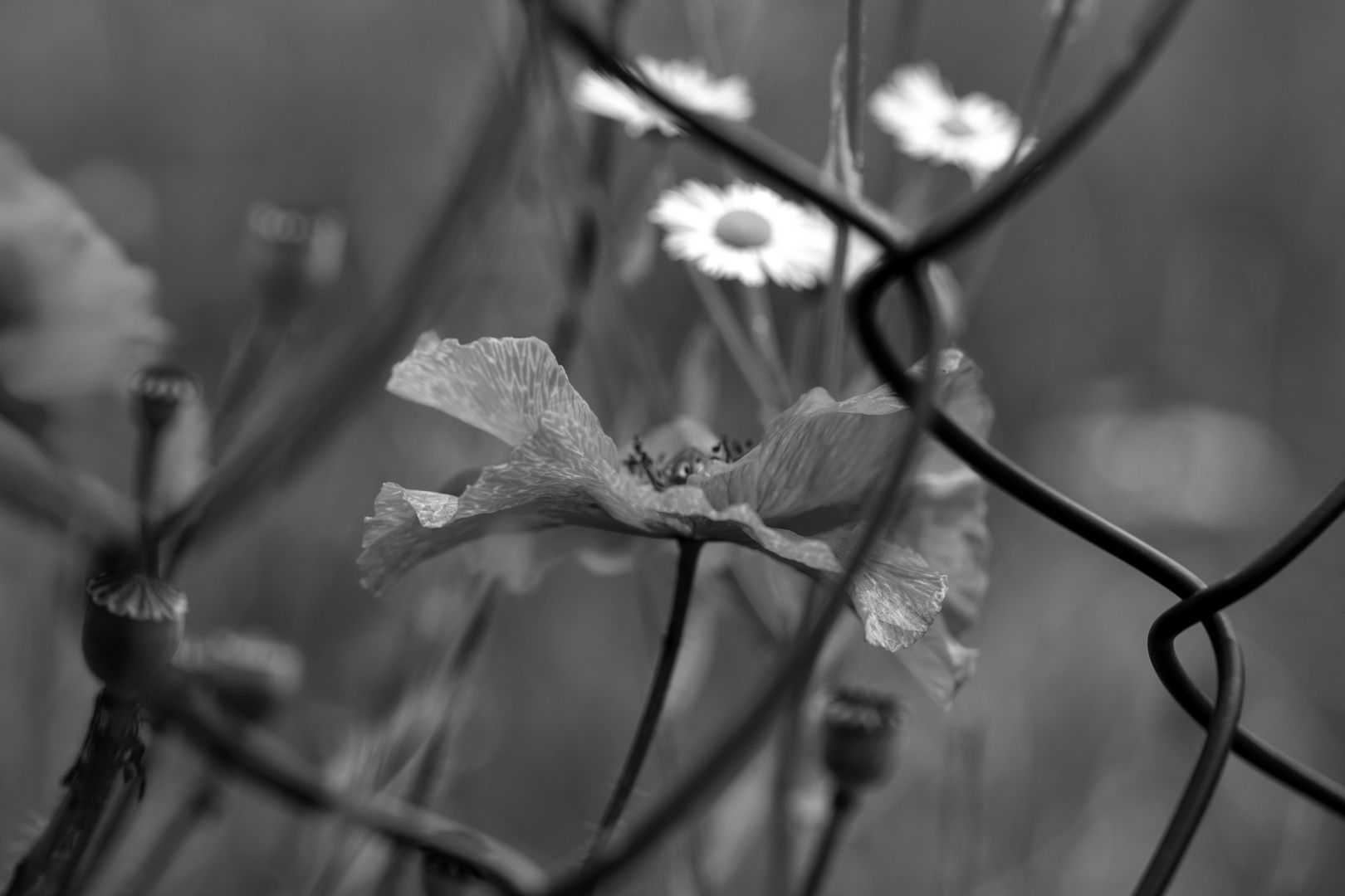 Hinter Gittern