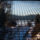 Hinter gitterN