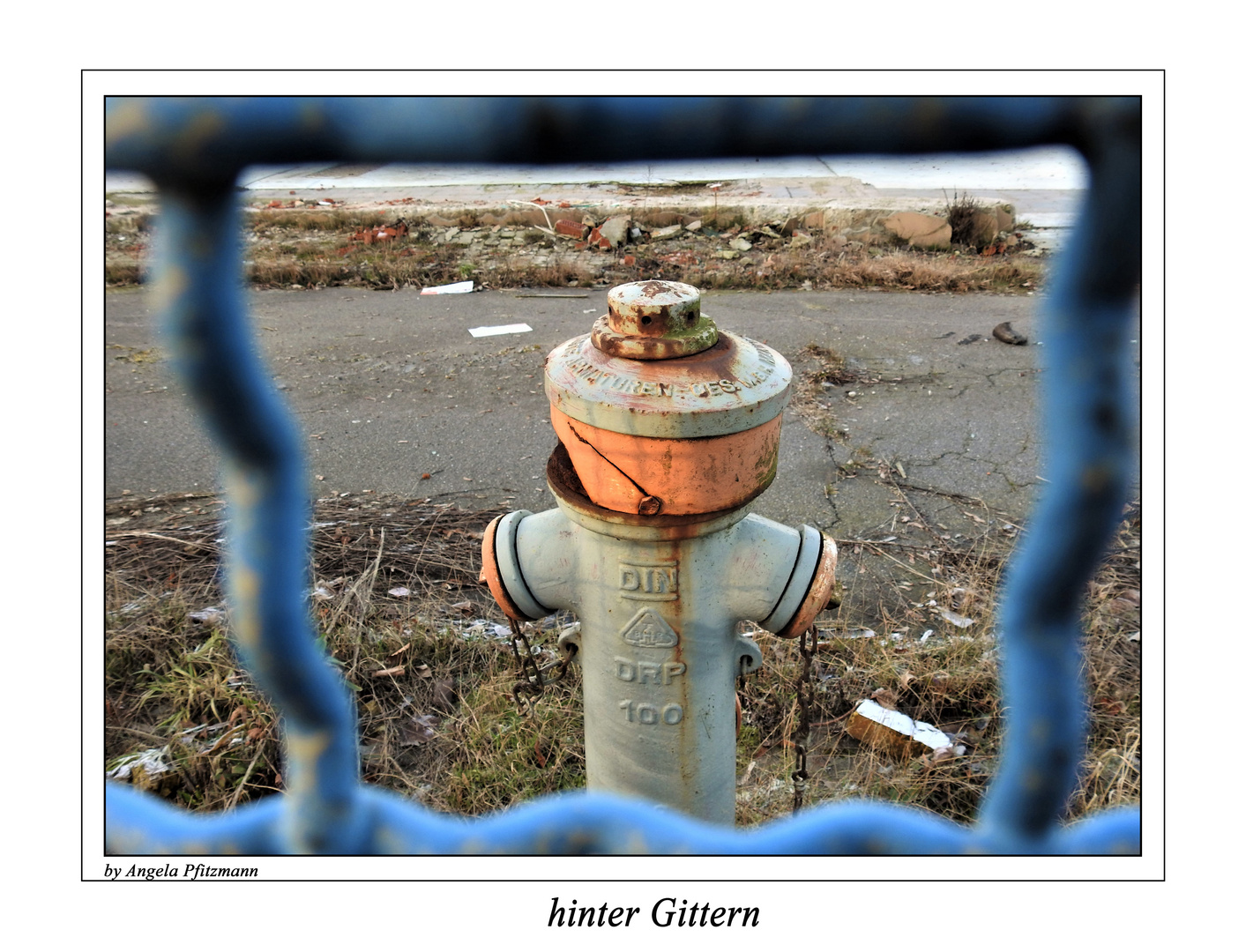 hinter Gittern