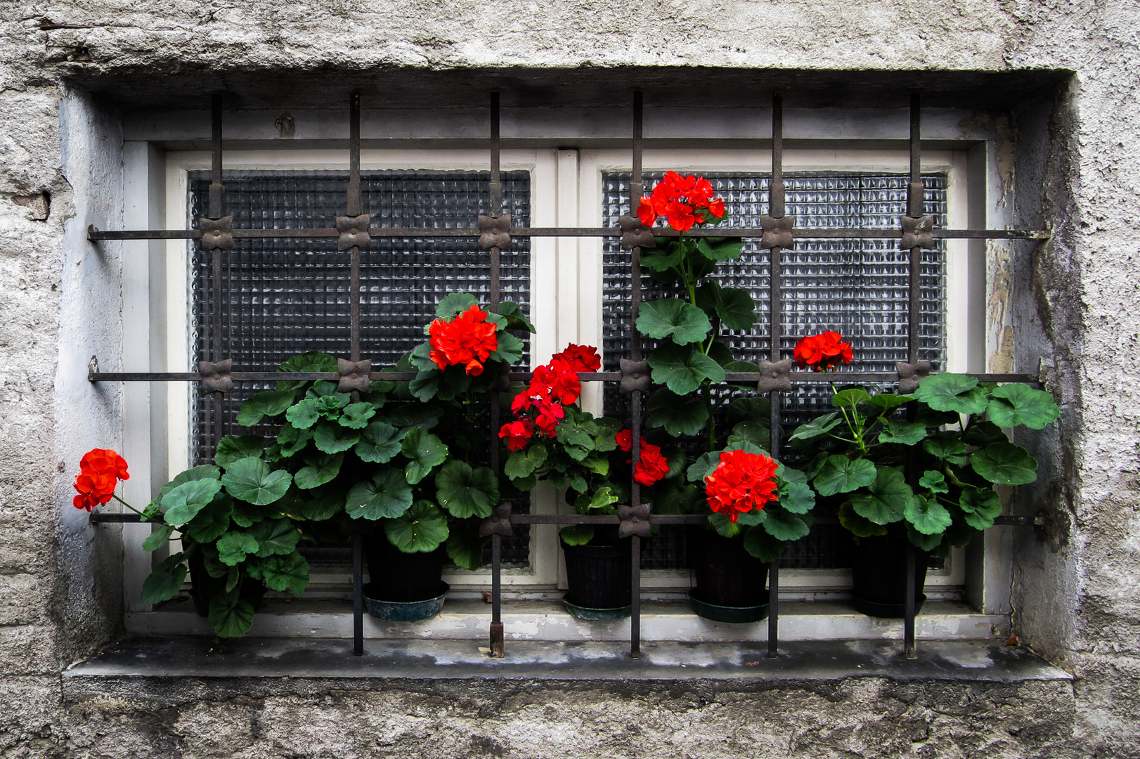 Hinter Gittern