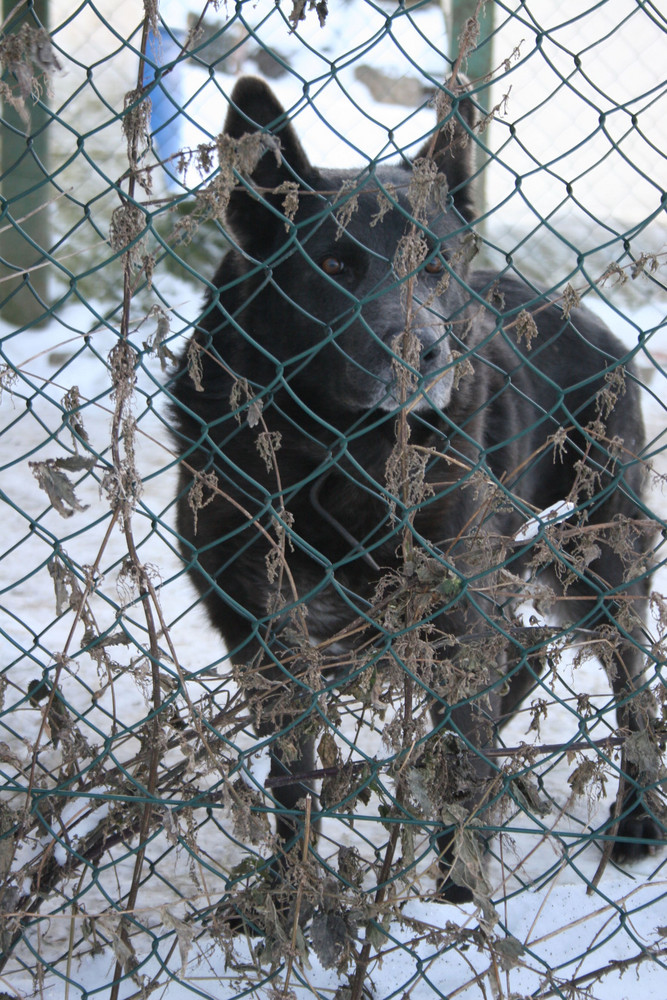 Hinter Gittern =)