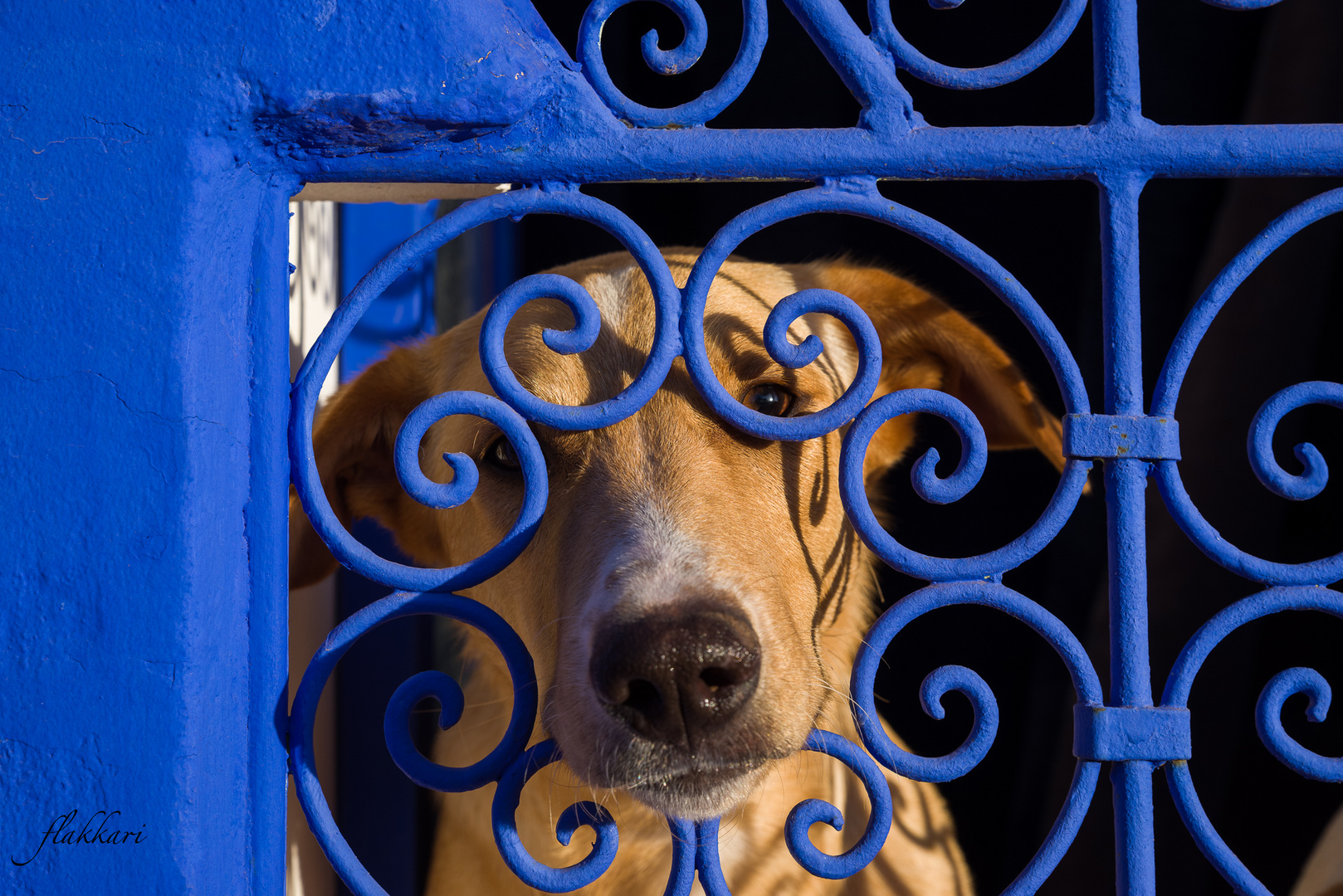 Hinter Gittern