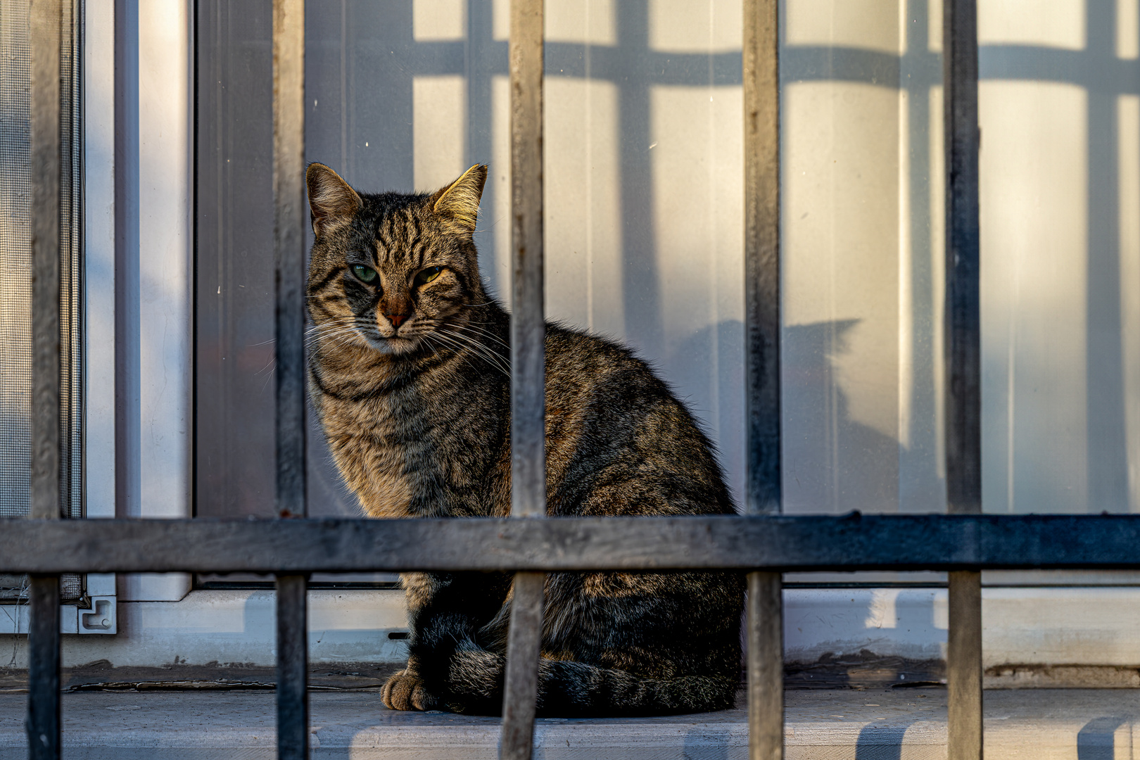 Hinter Gittern