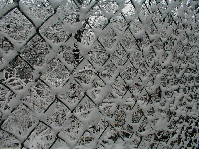 Hinter Gittern