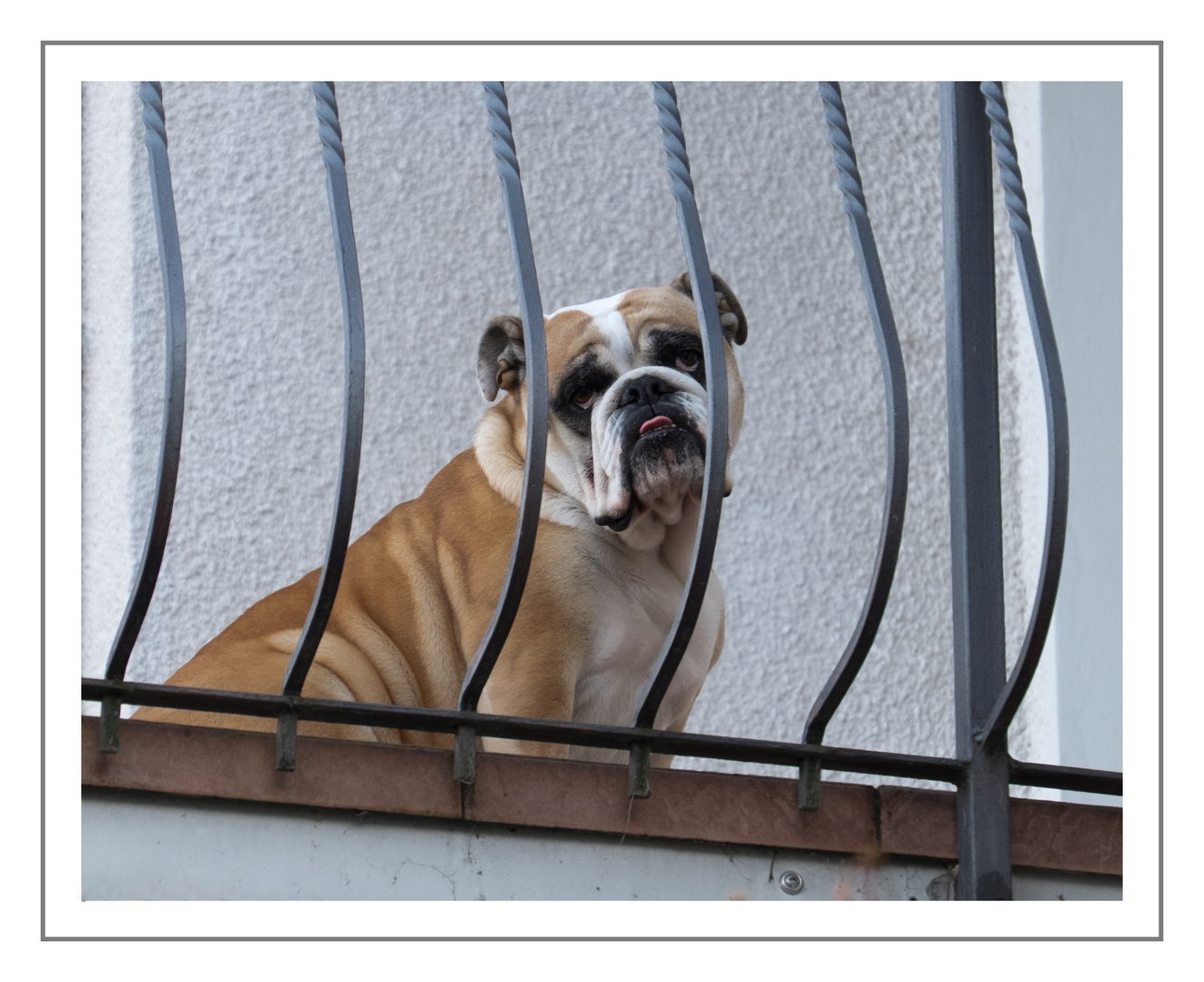 Hinter Gittern...