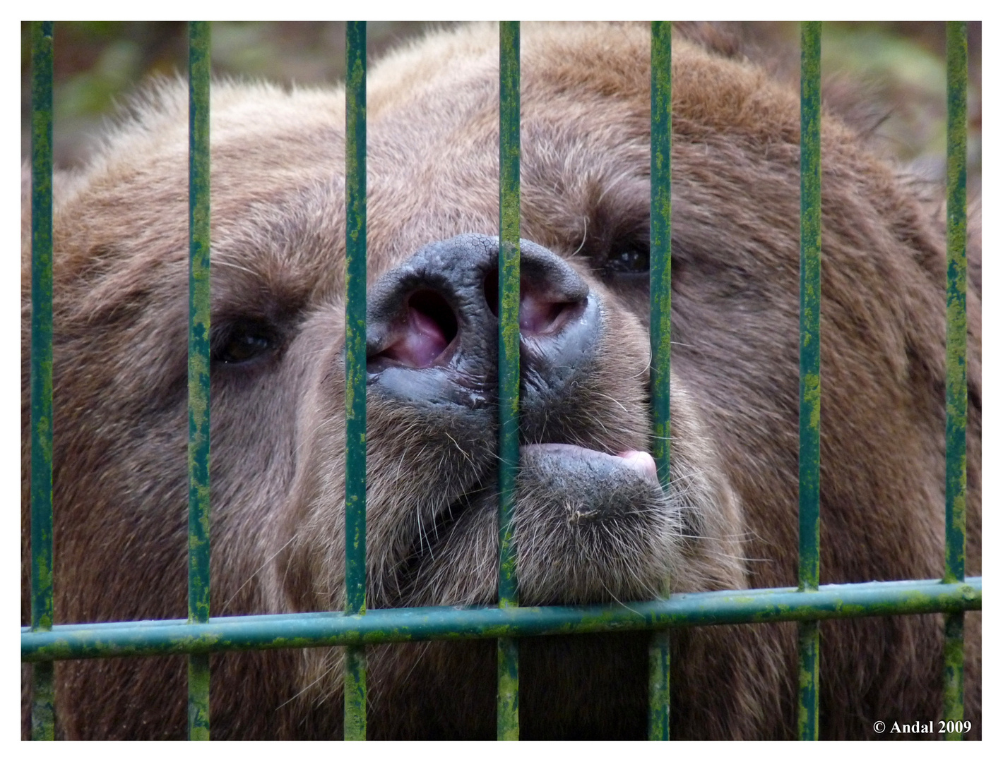 Hinter Gittern