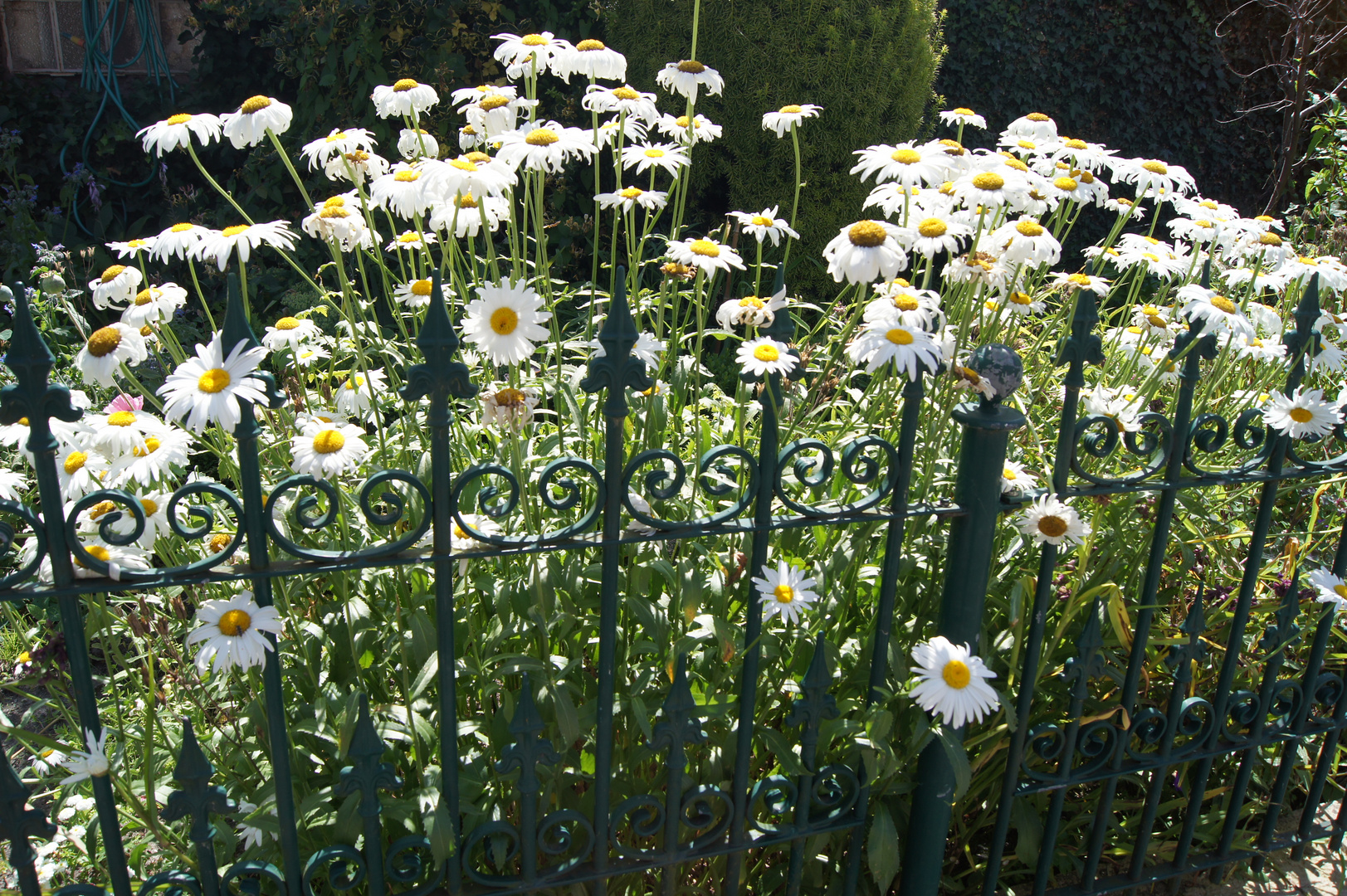 Hinter Gittern