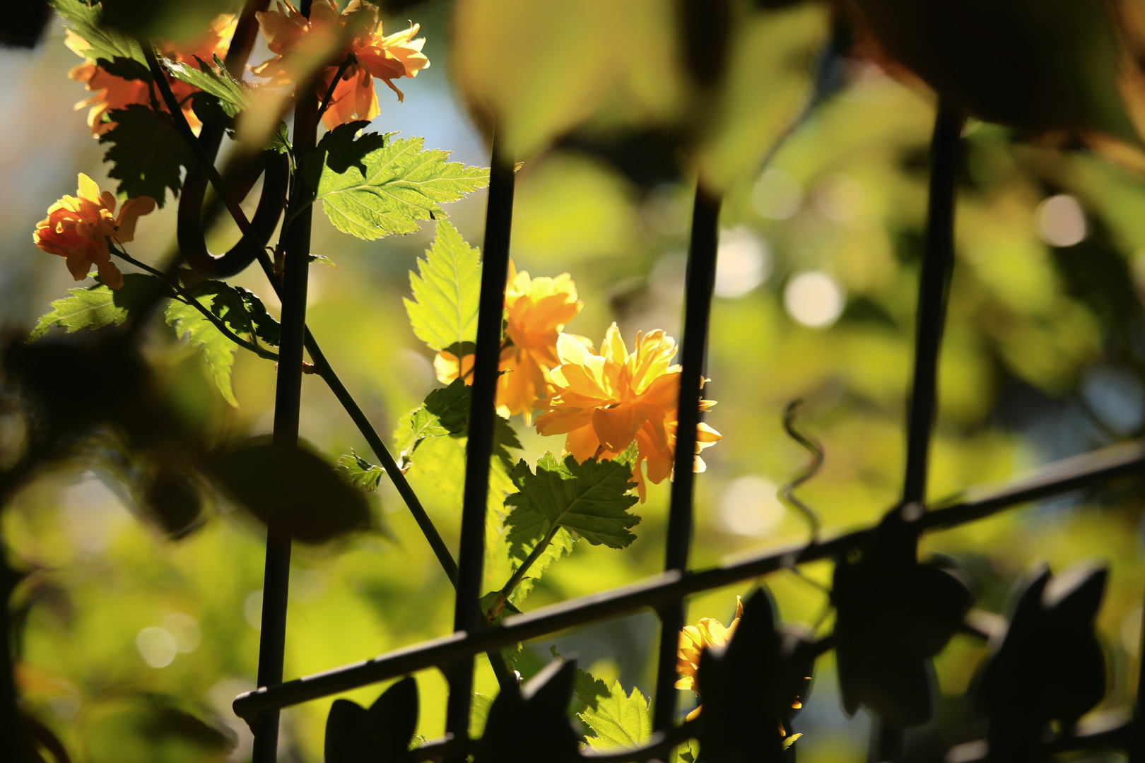 Hinter Gittern