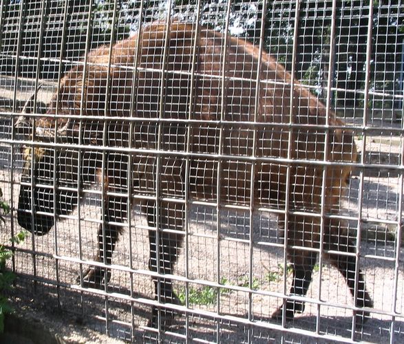 Hinter Gittern