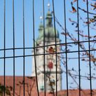 HInter Gittern