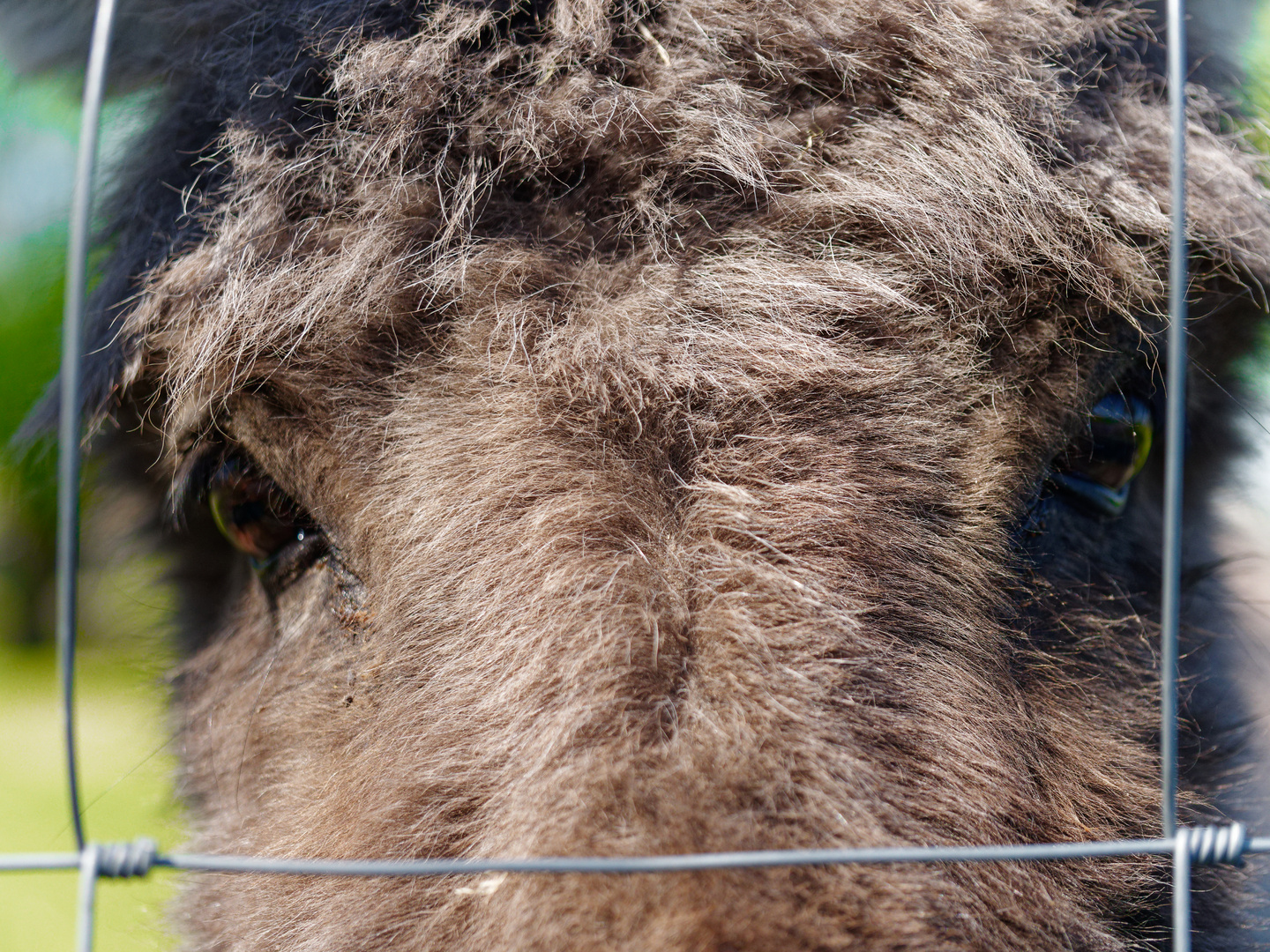 Hinter Gittern